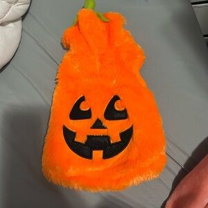 Dog Pumpkin Outfit